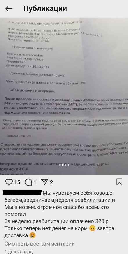 Суд в Молодечно вынес приговор волонтёру, которая брала деньги за лжеспасение собак