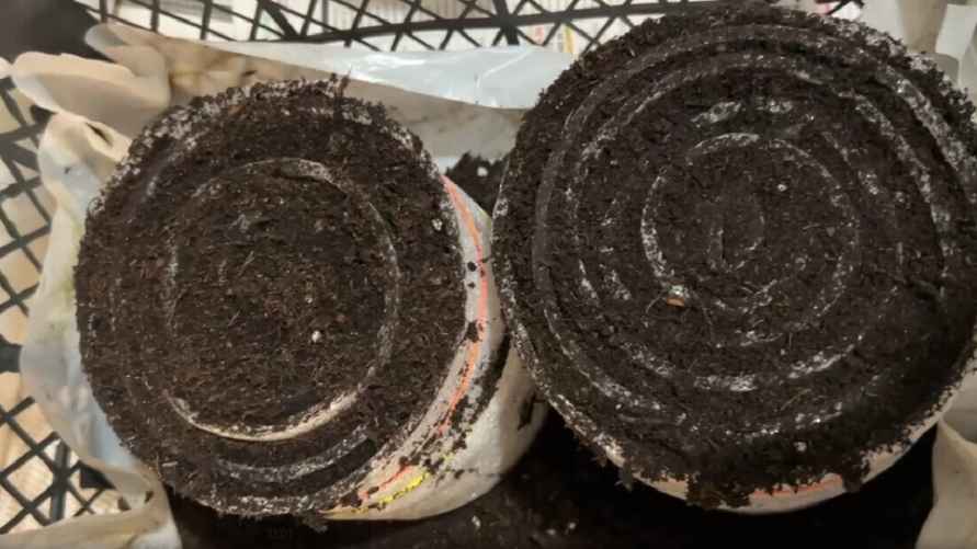 Фото: архив Екатерины Ямочки