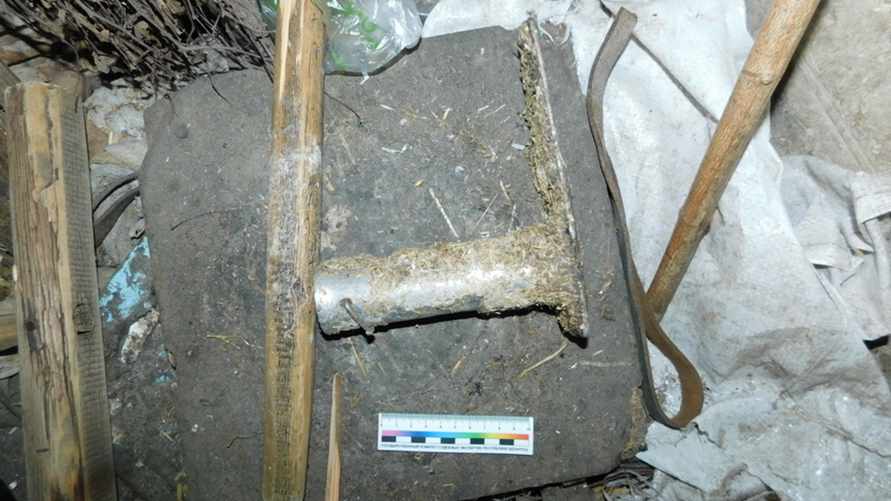 Фото: УСК по Гомельской области