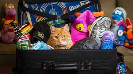 Совмин Беларуси установил некоторым работникам дополнительный отпуск. Когда положен 1 день, а когда — все 14?