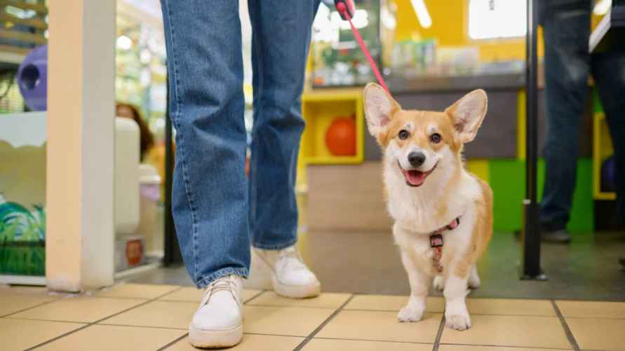 Фото: shutterstock