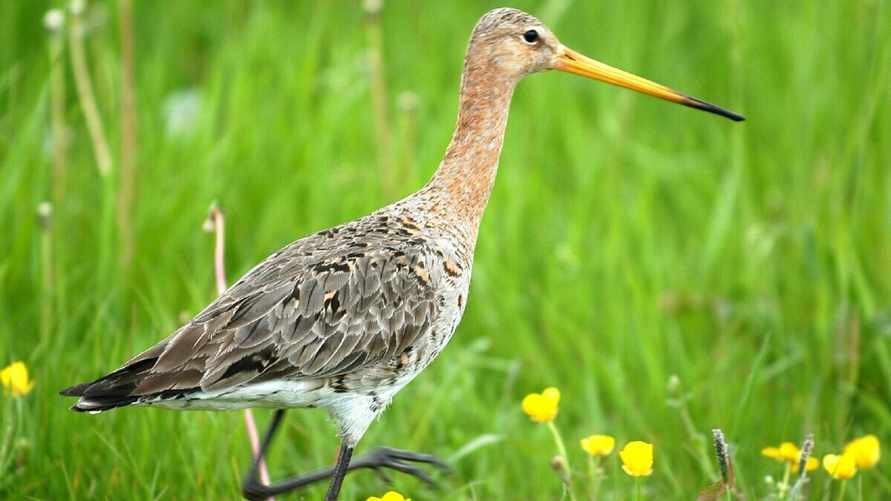 Фото иллюстрационное