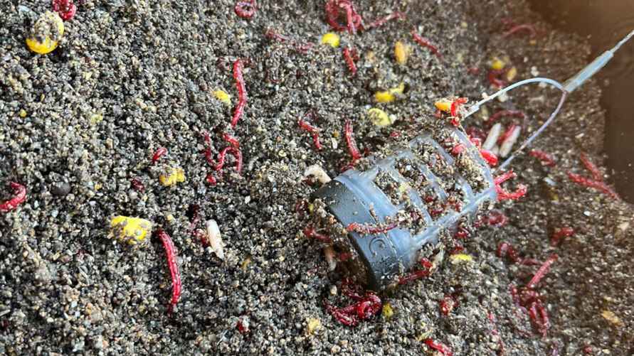 Фото: архив Ильи Аврейцевича