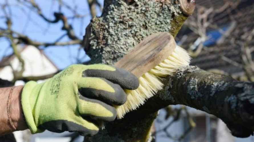 Фото иллюстрационное