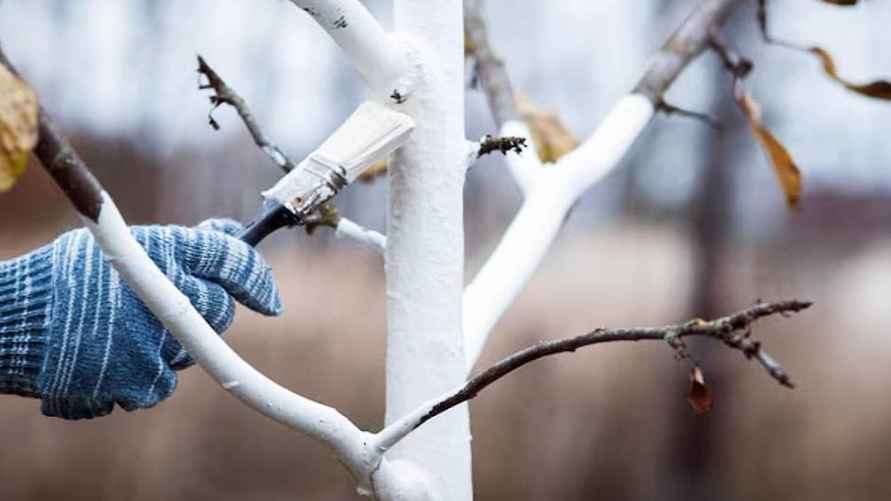 Фото иллюстрационное