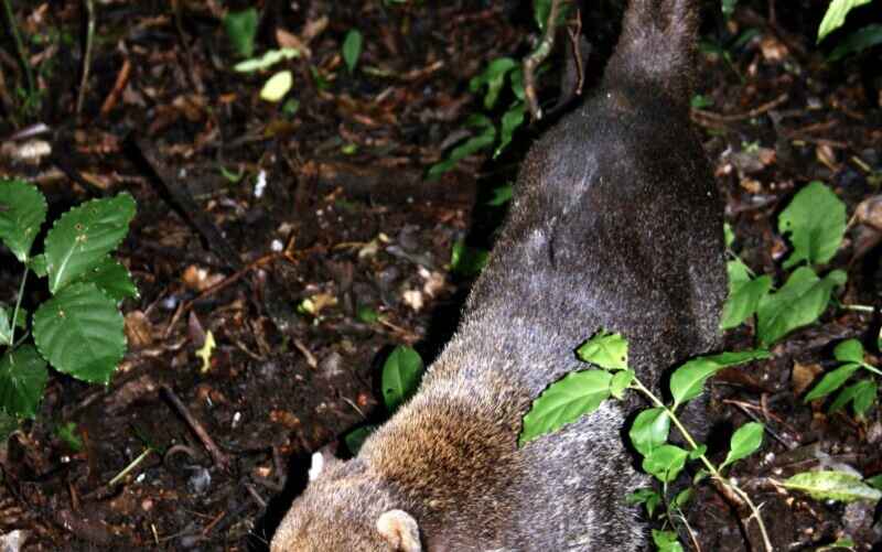 Фото: Википедия