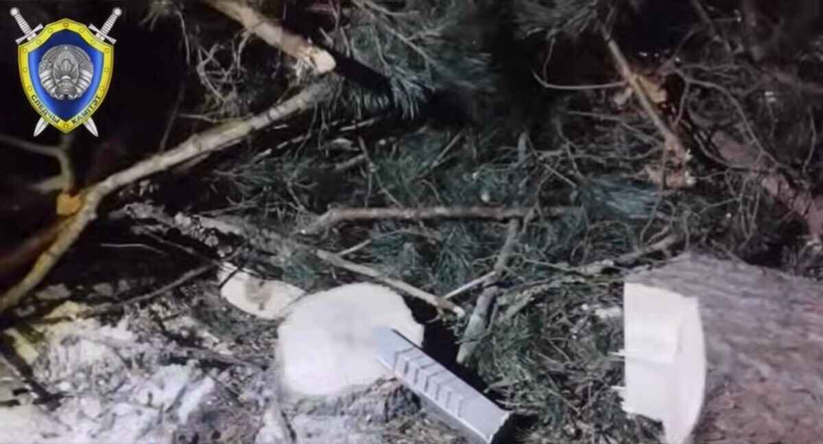 В Брагинском районе осина упала на вальщика леса - он погиб