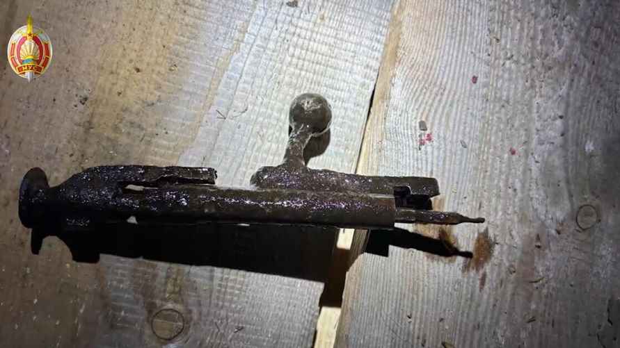 Скриншот: видео МВД Беларуси