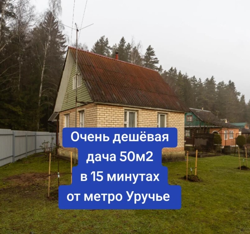 "За что??" — Минчанам предложили "очень дешевую" дачу за $40 тыс. В TikTok назвали другие цены