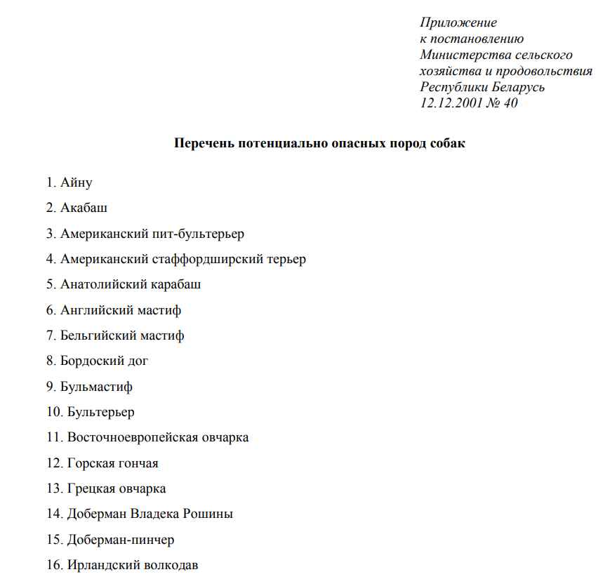 Процентов 80 просто монстры — Кинолог назвал 5 пород собак, которых не стоит заводить в Беларуси