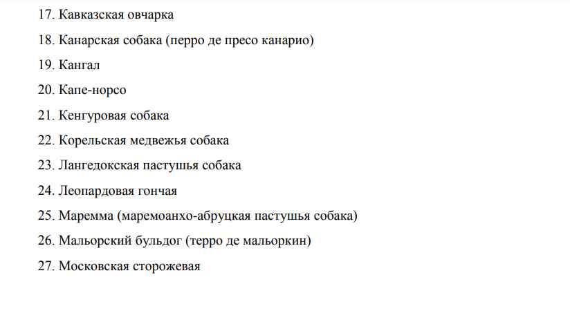 Процентов 80 просто монстры — Кинолог назвал 5 пород собак, которых не стоит заводить в Беларуси