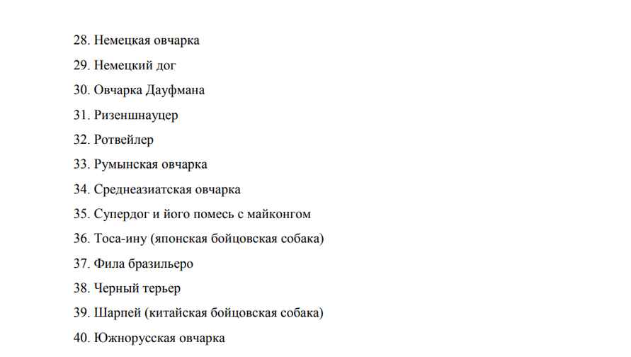 Процентов 80 просто монстры — Кинолог назвал 5 пород собак, которых не стоит заводить в Беларуси
