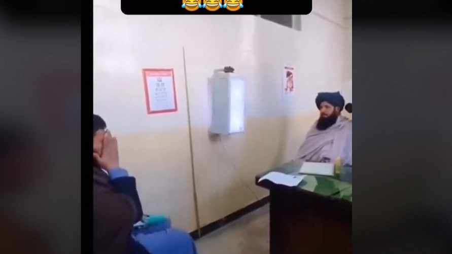 Фото: tiktok/@gardennews007