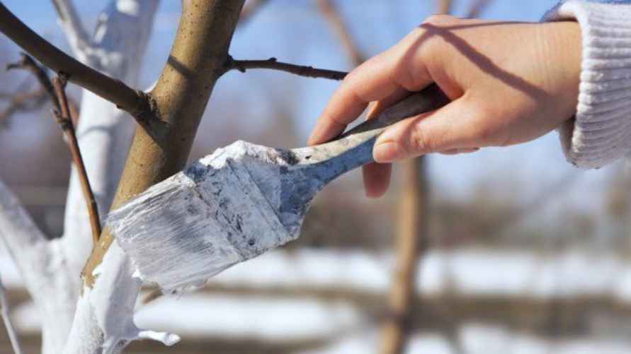 Фото иллюстрационное