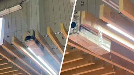 «Сопли висят на всю витрину» — Могилевчанка пожаловалась на «ловушки с клеем» в магазине. Что за «гадость»?