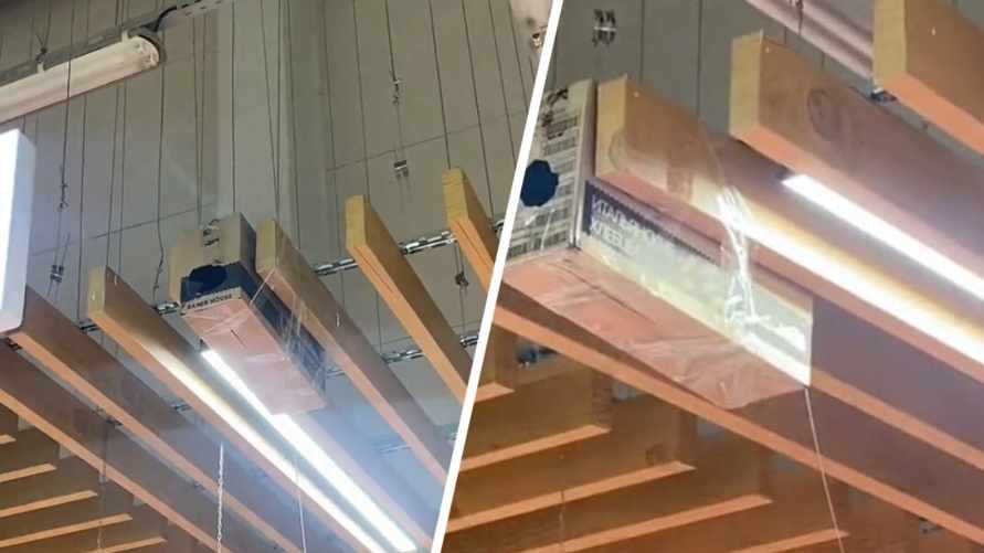 "Сопли висят на всю витрину" - Могилевчанка пожаловалась на "ловушки с клеем" в магазине. Что за "гадость"?