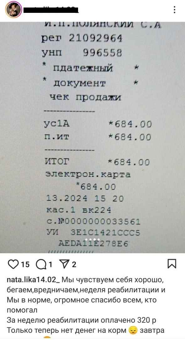 Суд в Молодечно вынес приговор волонтёру, которая брала деньги за лжеспасение собак