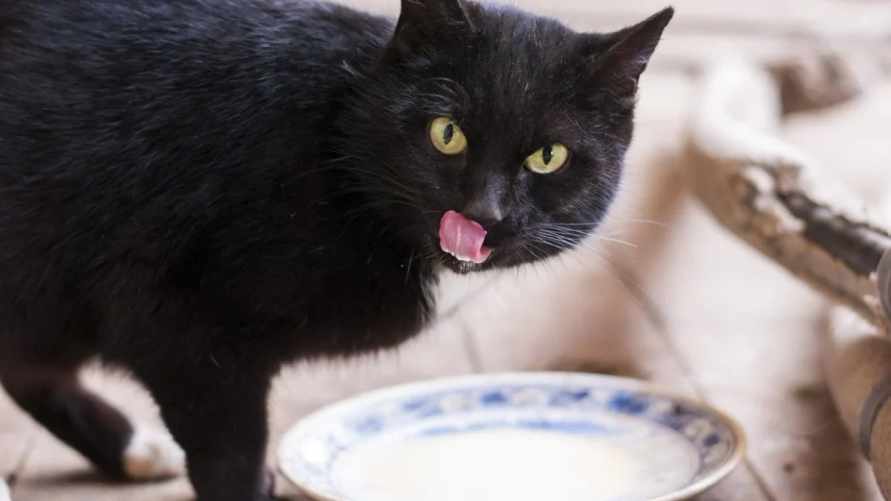 Фото иллюстрационное: istockphoto