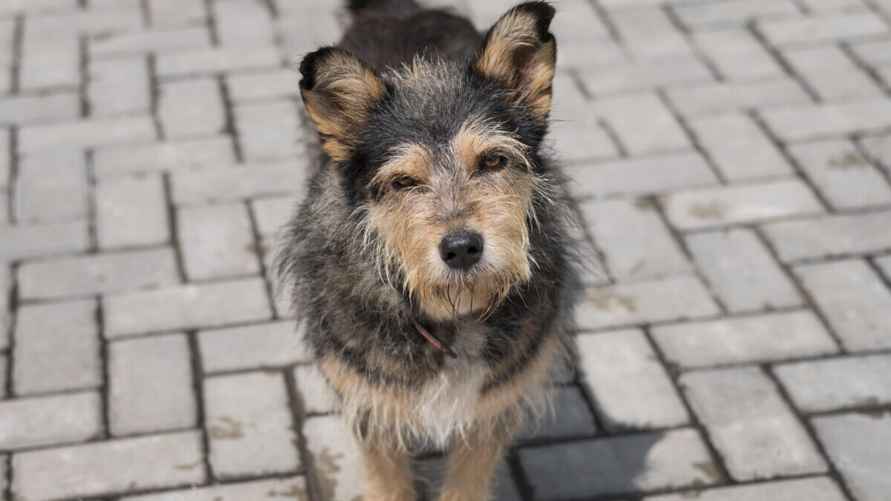 Фото иллюстрационное/freepik.com