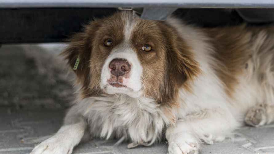 Фото иллюстрационное/freepik.com