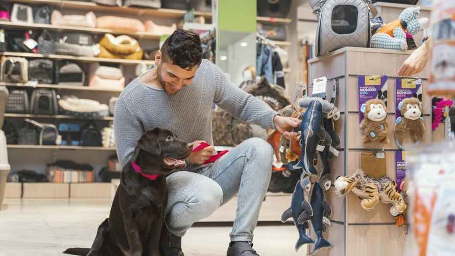 Фото: freepik.com