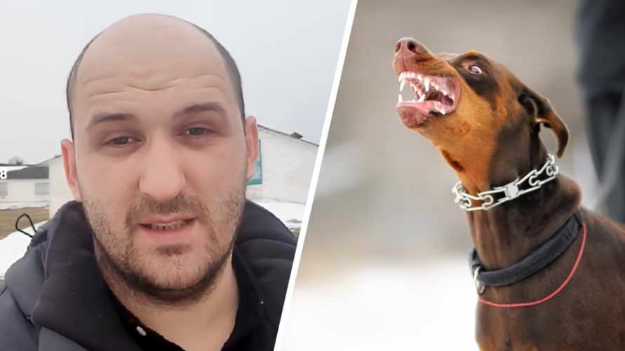 Фото: TikTok и shutterstock.com