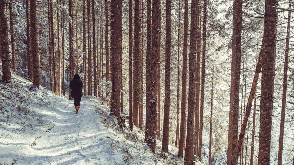 Фото иллюстративное