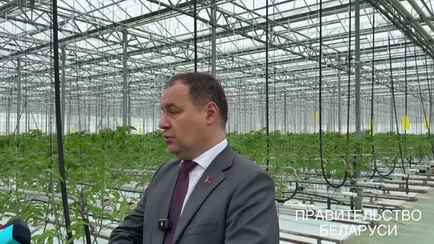 Головченко пообещал снижение цен на белорусские овощи в межсезонье. За счёт чего?