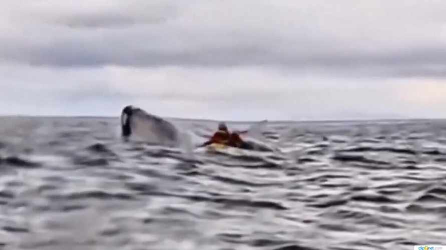 Фото: Скриншот видео x.com/TabascoHOY