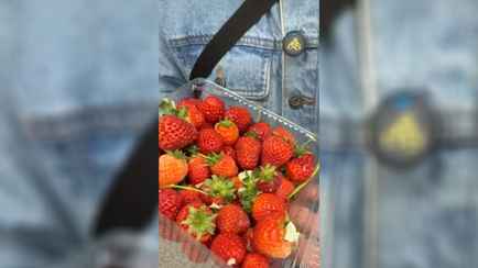 В 2,6 раза дешевле импортной. В Минске в конце февраля начали продавать белорусскую клубнику