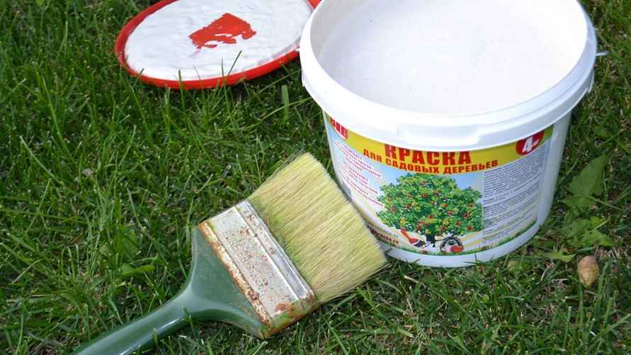 Фото иллюстрационное