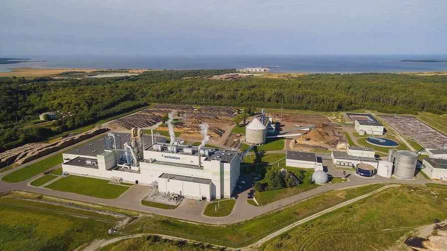 В Эстонии прекратил работу крупнейший деревообрабатывающий завод после отключения от единой энергосистемы с Беларусью