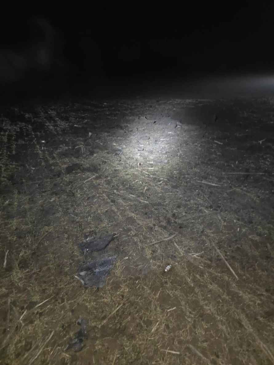 Фото: Пограничная полиция Молдовы