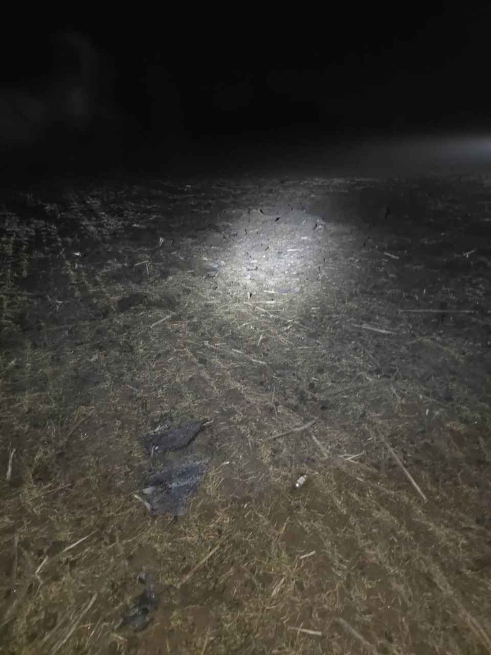 Фото: Пограничная полиция Молдовы