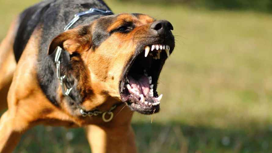 Фото: Getty images