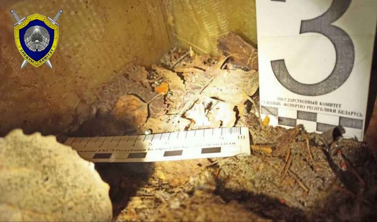 Следственный комитет возбудил уголовное дело из-за инцидента на белорусско-польской границе