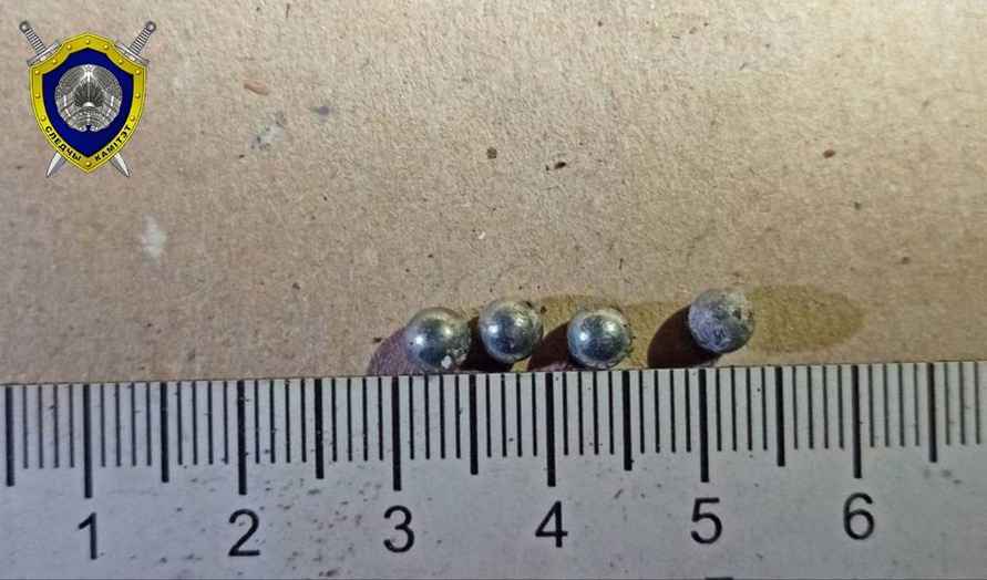 Следственный комитет возбудил уголовное дело из-за инцидента на белорусско-польской границе