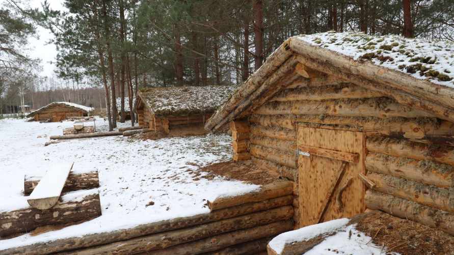 Минлесхоз предложил белорусам арендовать землянки для "массовых мероприятий". Сколько за сутки?