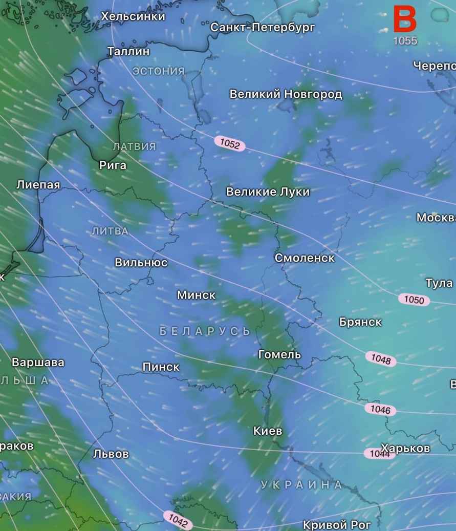 Синоптики пообещали белорусам неделю без снегопадов и «много солнца» от «бескрайней Эльвиры». Где ждать морозы до -14°С?