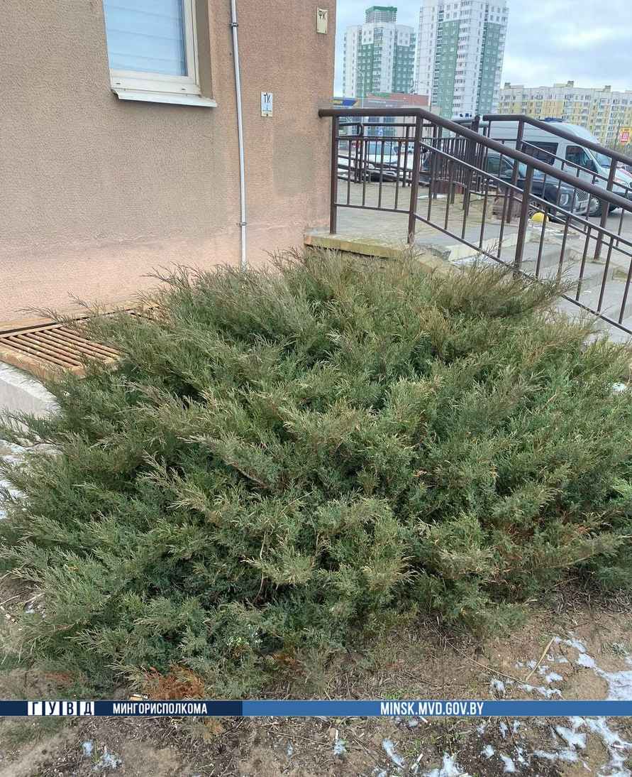 В Минске из окна 15-го этажа выпал полуторагодовалый ребенок