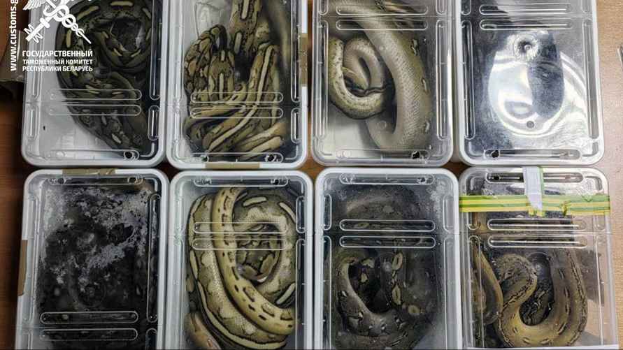 Фото: Брестская таможня