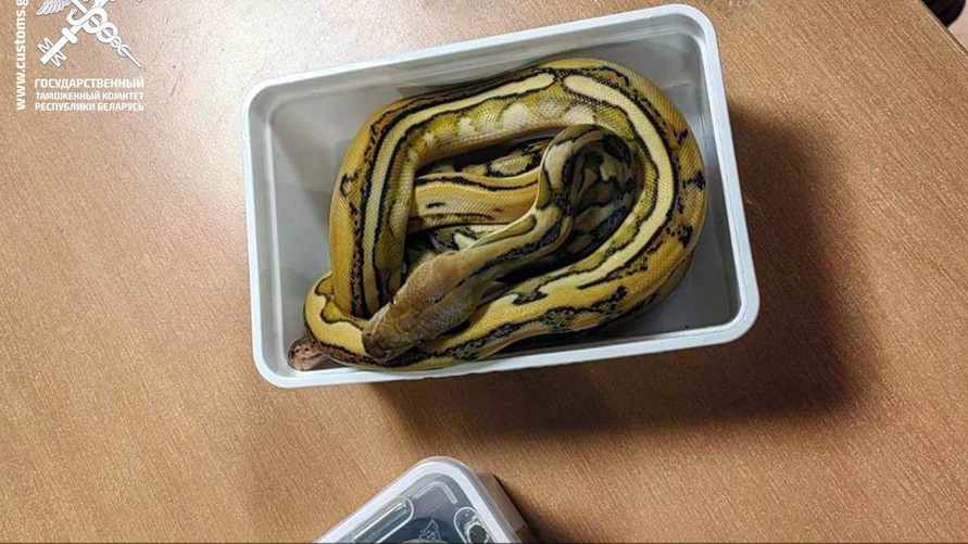 Фото: Брестская таможня