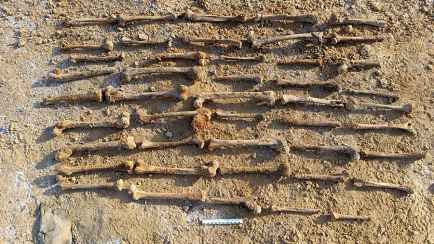 В Минске на стройплощадке нашли 700 фрагментов костных останков