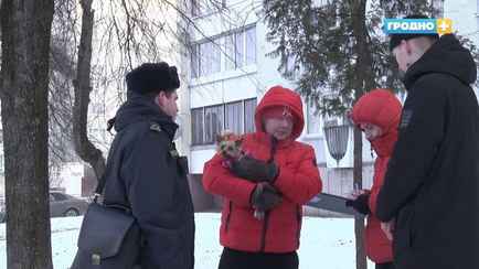 Гродненская милиция наказала белорусов, которые «неправильно» гуляли с собаками. А как правильно?