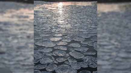 Жители Минщины заметили блинчатый лёд и световые столбы в небе