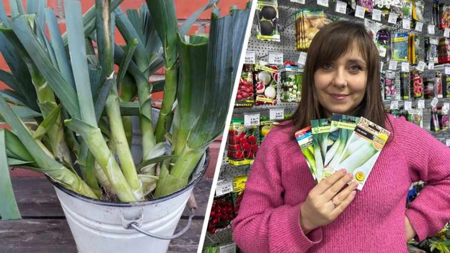 Фото: 7dach.ru и архив Е. Ямочки