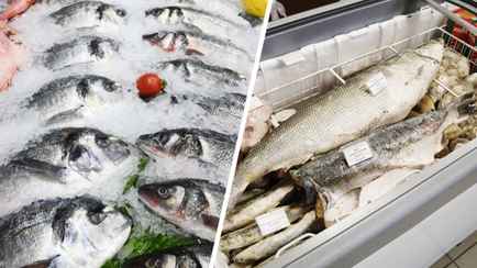 Почему замороженная рыба лучше свежей? Ученые объяснили, как сохранить текстуру при разморозке