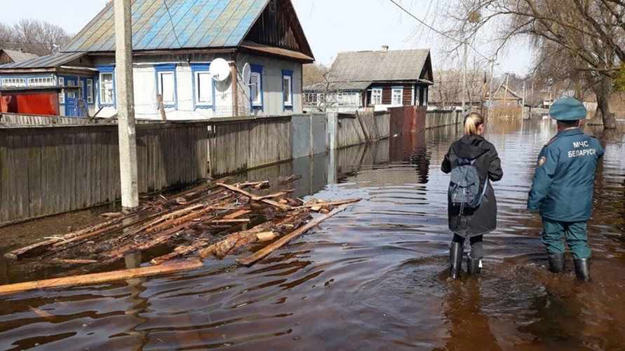Фото иллюстрационное