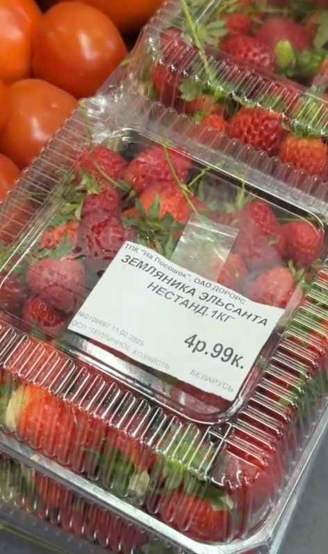 В 2,6 раза дешевле импортной. В Минске в конце февраля начали продавать белорусскую клубнику