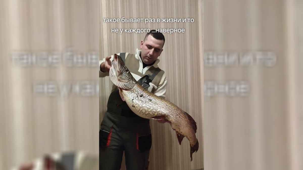 "Такое бывает раз в жизни" - Белорус похвастался уловом "мамки" больше 10 кг. Мнения в TikTok разделились